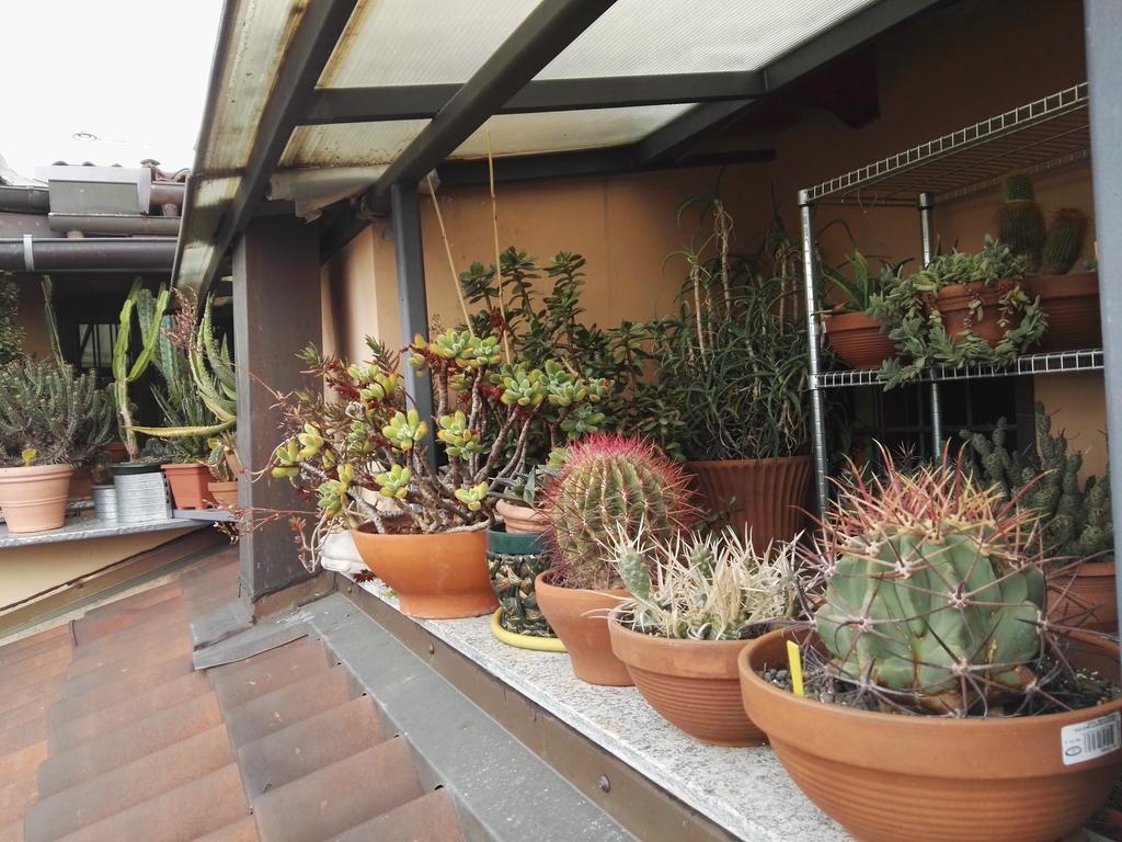 A Casa Di Gio Bed & Breakfast Turin Exterior photo